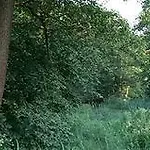 Stara Papiernia Lasek