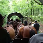 Stara Papiernia Lasek Oda ve Kahvaltı 3*