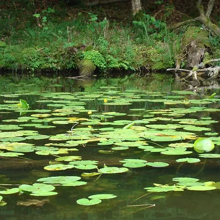 Stara Papiernia Lasek Frühstückspension 3*
