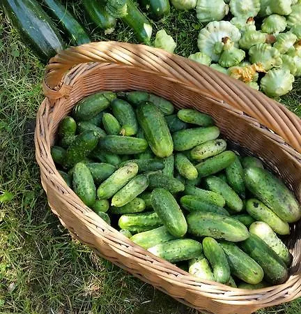 Stara Papiernia Lasek Nocleg ze śniadaniem