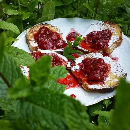 Nocleg ze śniadaniem Stara Papiernia Lasek Krutynski Piecek