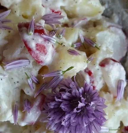 Stara Papiernia Lasek Krutynski Piecek