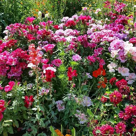 Stara Papiernia Lasek 3* Krutynski Piecek