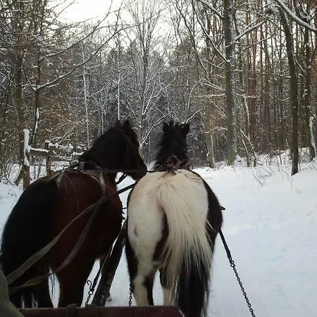 Stara Papiernia Lasek