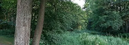 Stara Papiernia Lasek