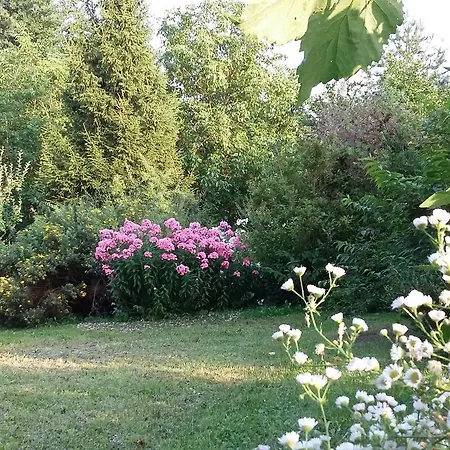 Stara Papiernia Lasek 3*