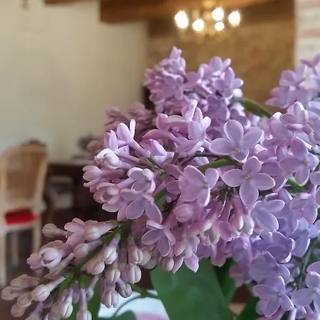 Frühstückspension Stara Papiernia Lasek