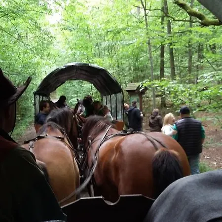 Stara Papiernia Lasek Frühstückspension 3*