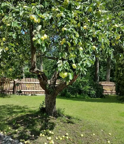 Stara Papiernia Lasek Bed and breakfast