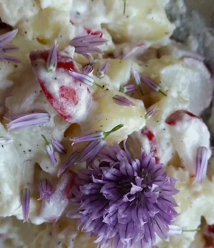 Stara Papiernia Lasek Krutynski Piecek