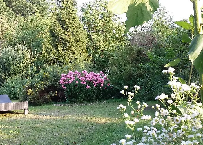 Stara Papiernia Lasek 3*