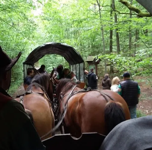 Stara Papiernia Lasek Bed and breakfast 3*